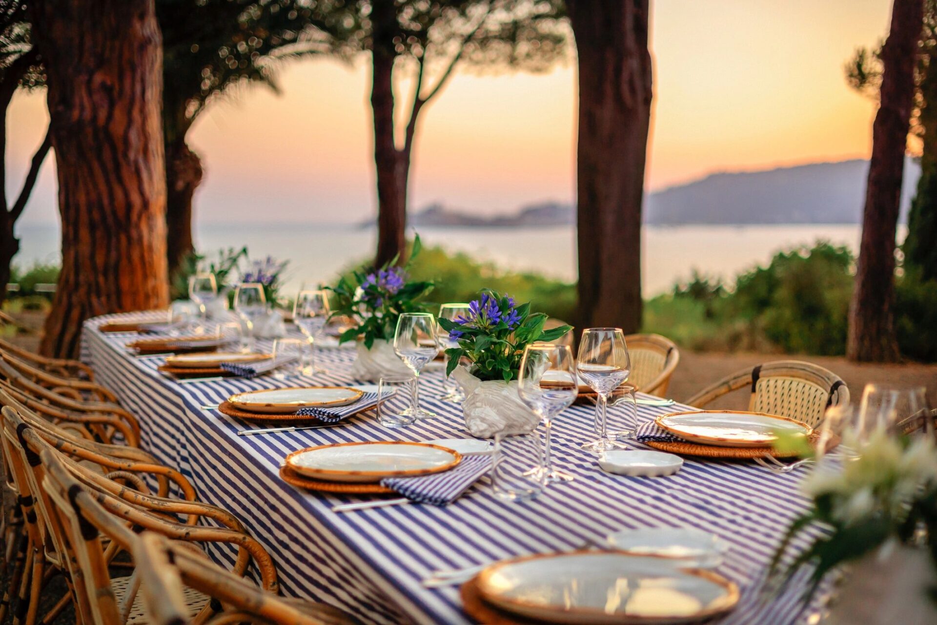 food and culture elegant dining