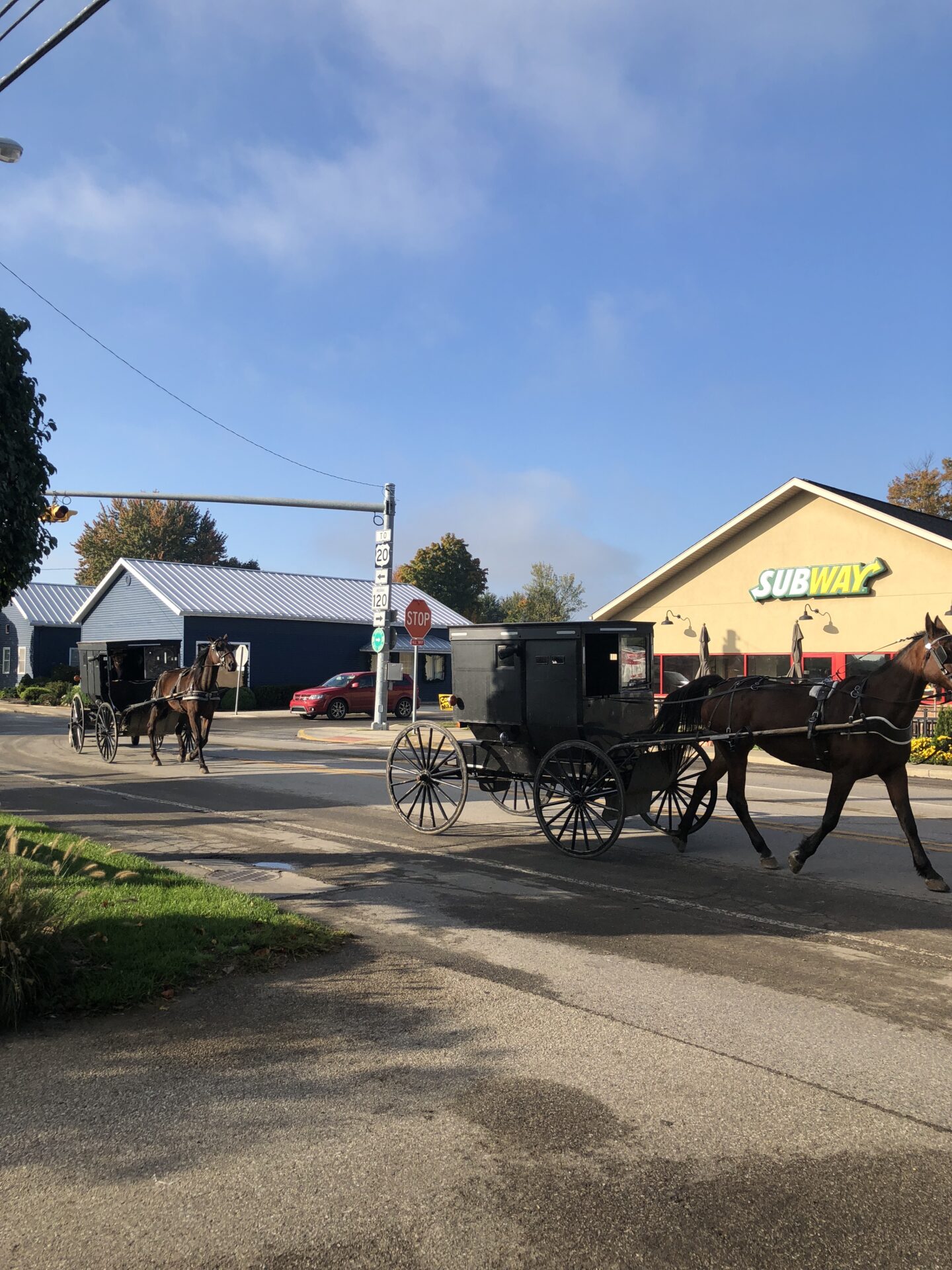 Amish horse and buggy on a country road through Lancaster County farmland