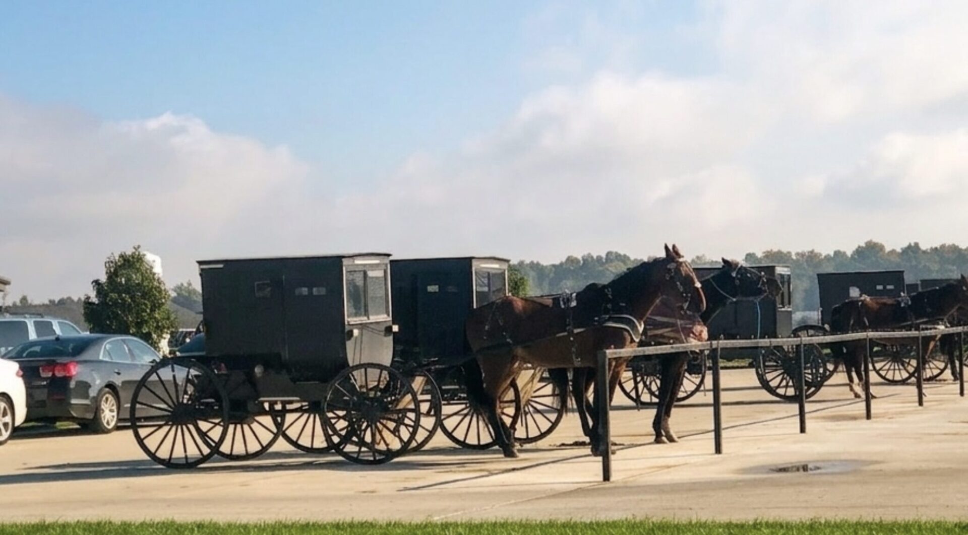 Horse-drawn Amish buggy passing through Lancaster County Pennsylvania